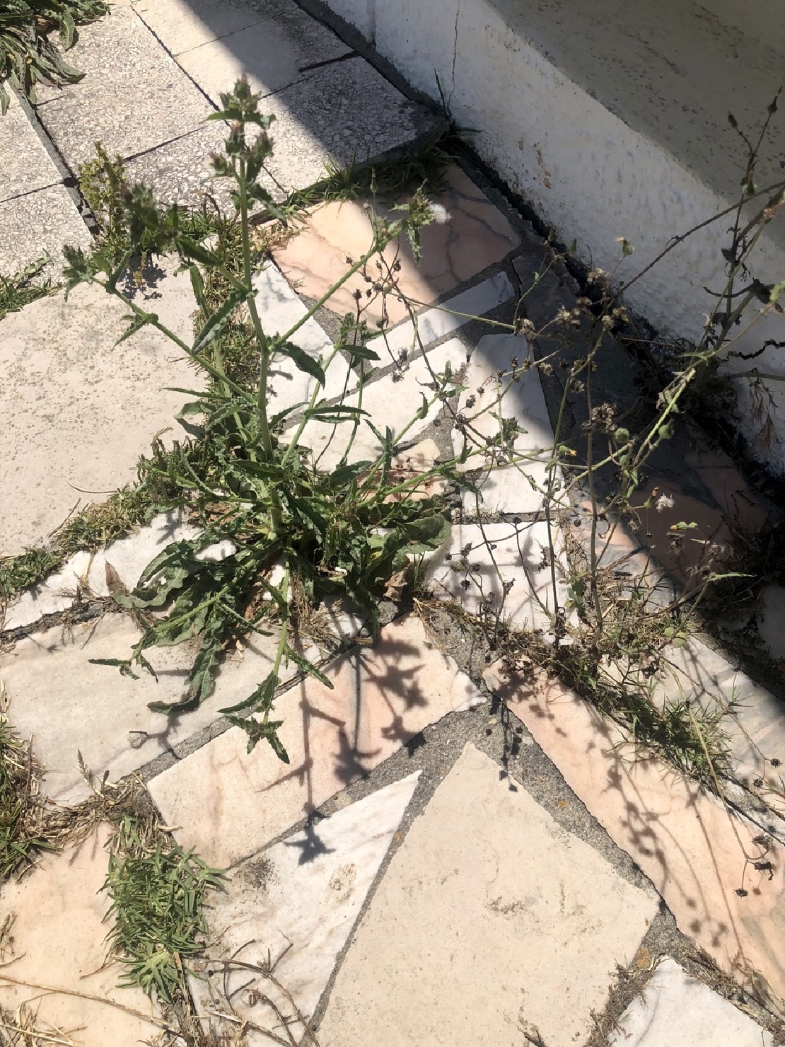 It's not that nothing has happened