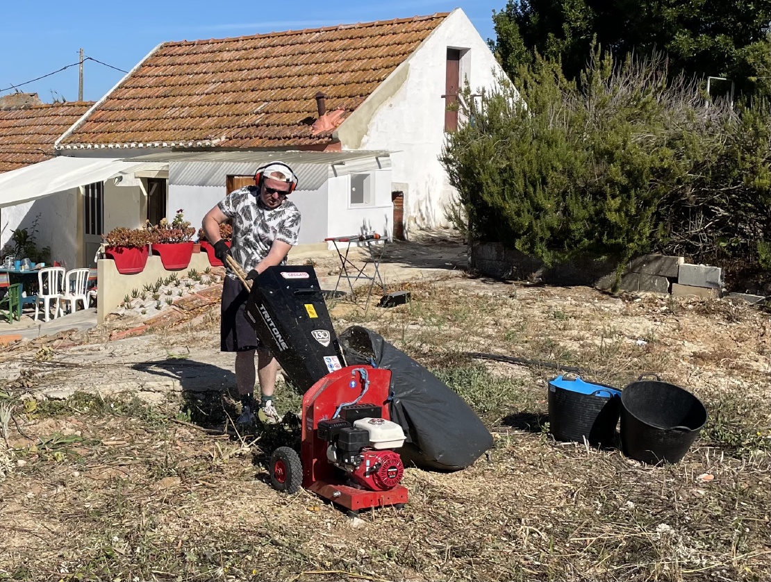 Five Scouts From Belgium