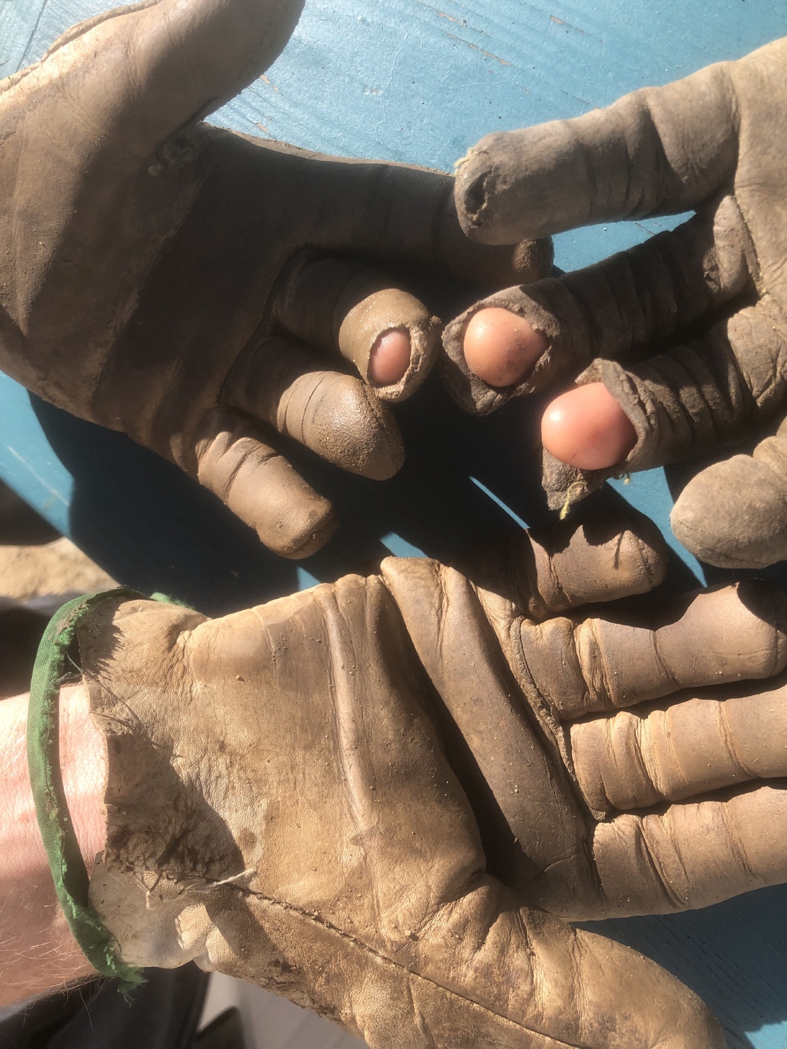 Maarten WorkAway buddy of the month November