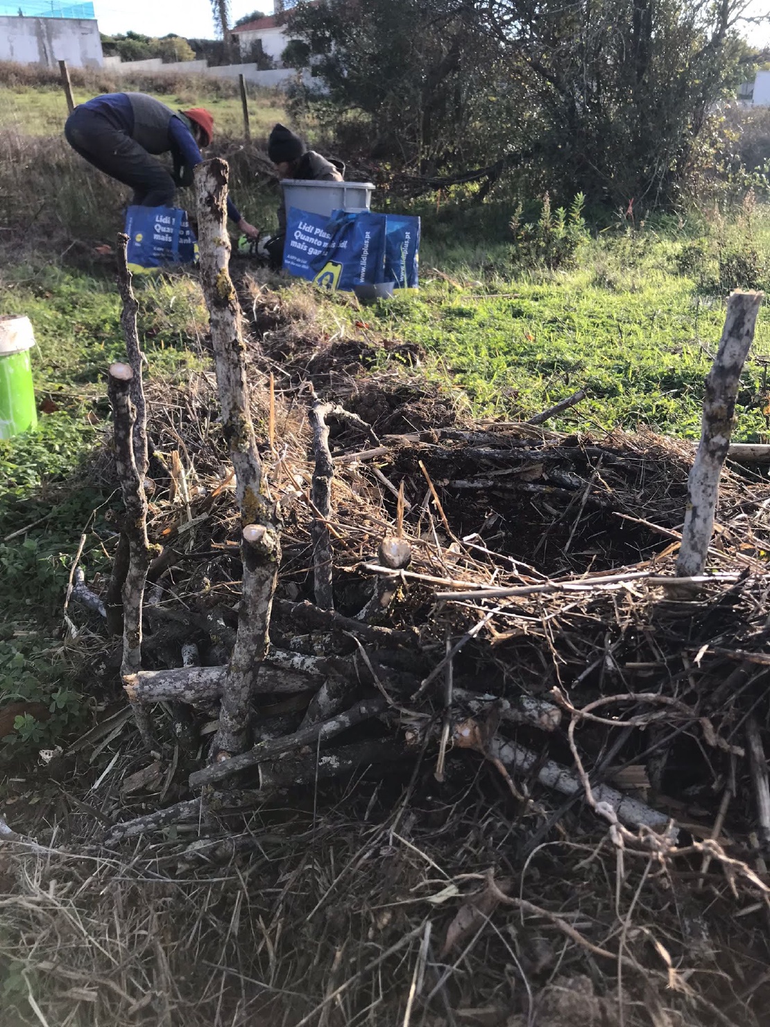 Land Art in wait for Ostriches